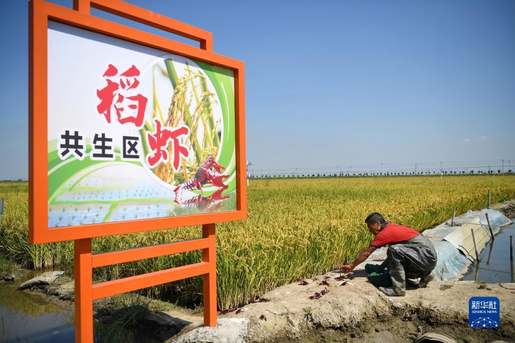 在线捕鱼游戏中心